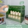 Egg storage box Refrigerator side door egg box Egg rack Food-grade transparent storage and preservation box